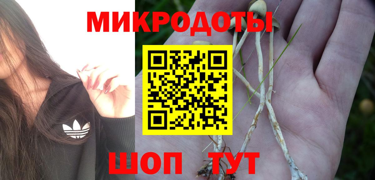 Псилоцибиновые грибы прущие грибы Октябрьский