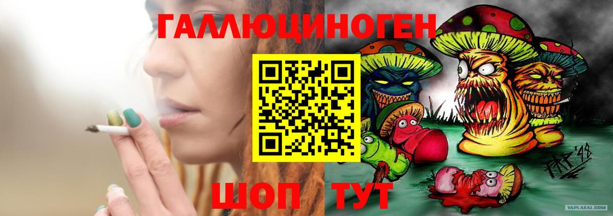как найти закладки  Вход с VPN  Октябрьский  Псилоцибиновые грибы мухоморы  Галлюциногенные грибы GOLDEN TEACHER 